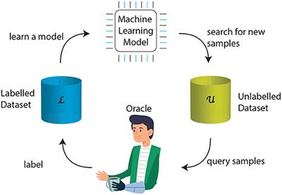 Recalibration of myoelectric control with active learning